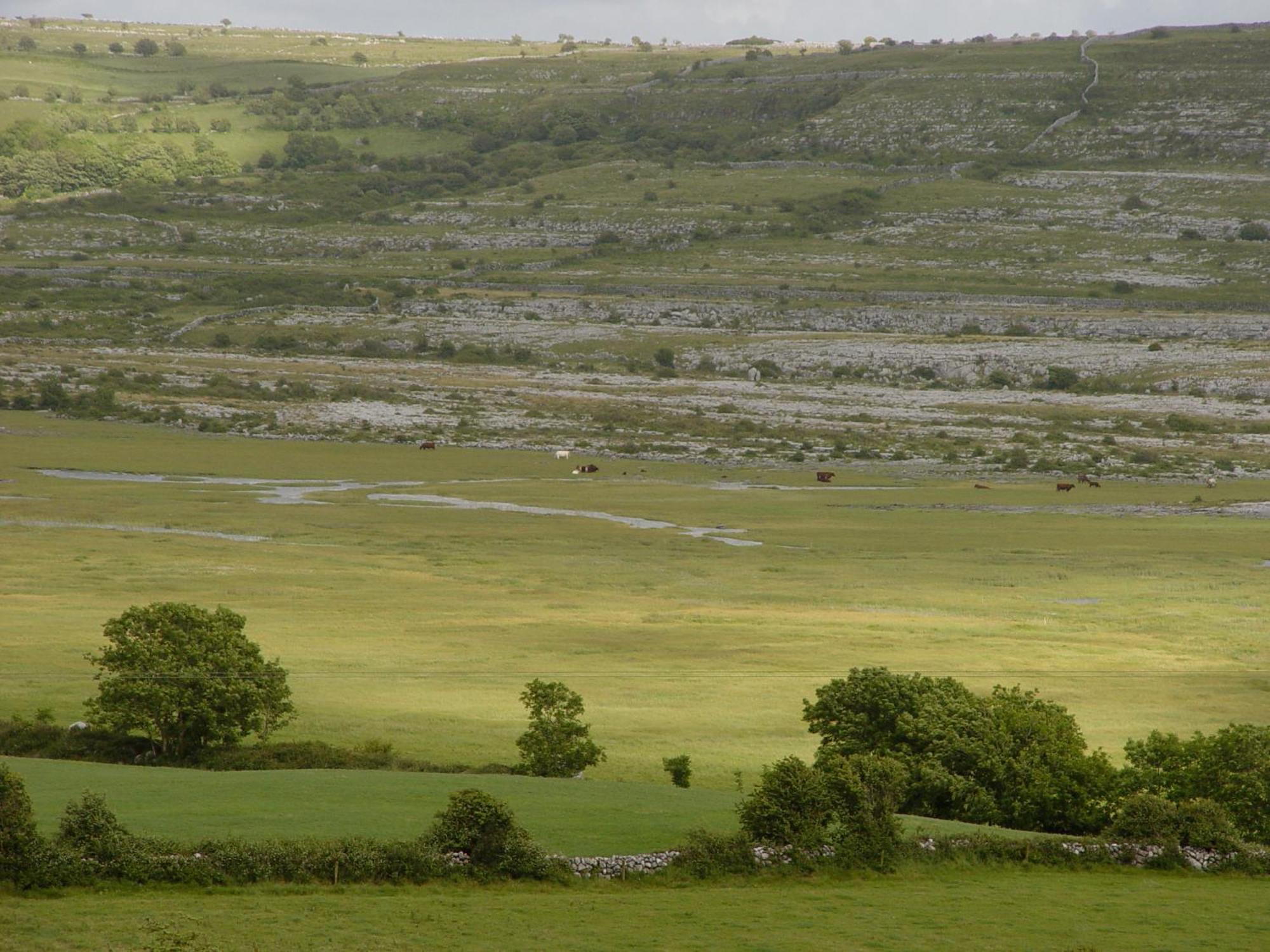 Clare'S Rock Self-Catering Accommodation Carron Bagian luar foto