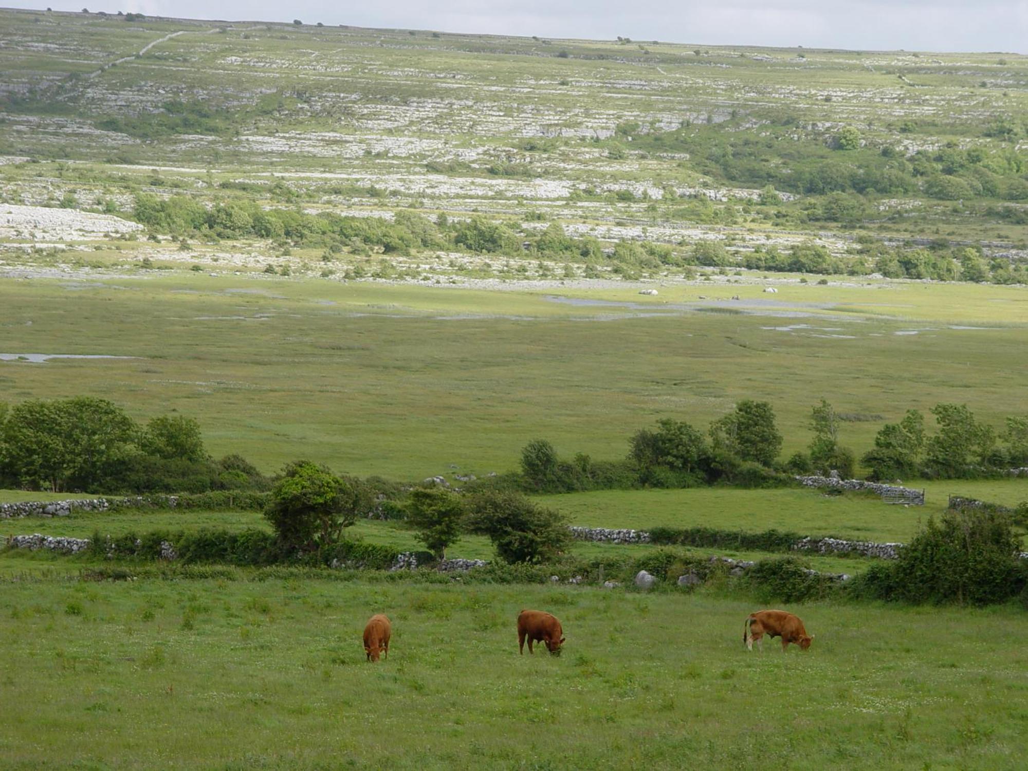 Clare'S Rock Self-Catering Accommodation Carron Bagian luar foto
